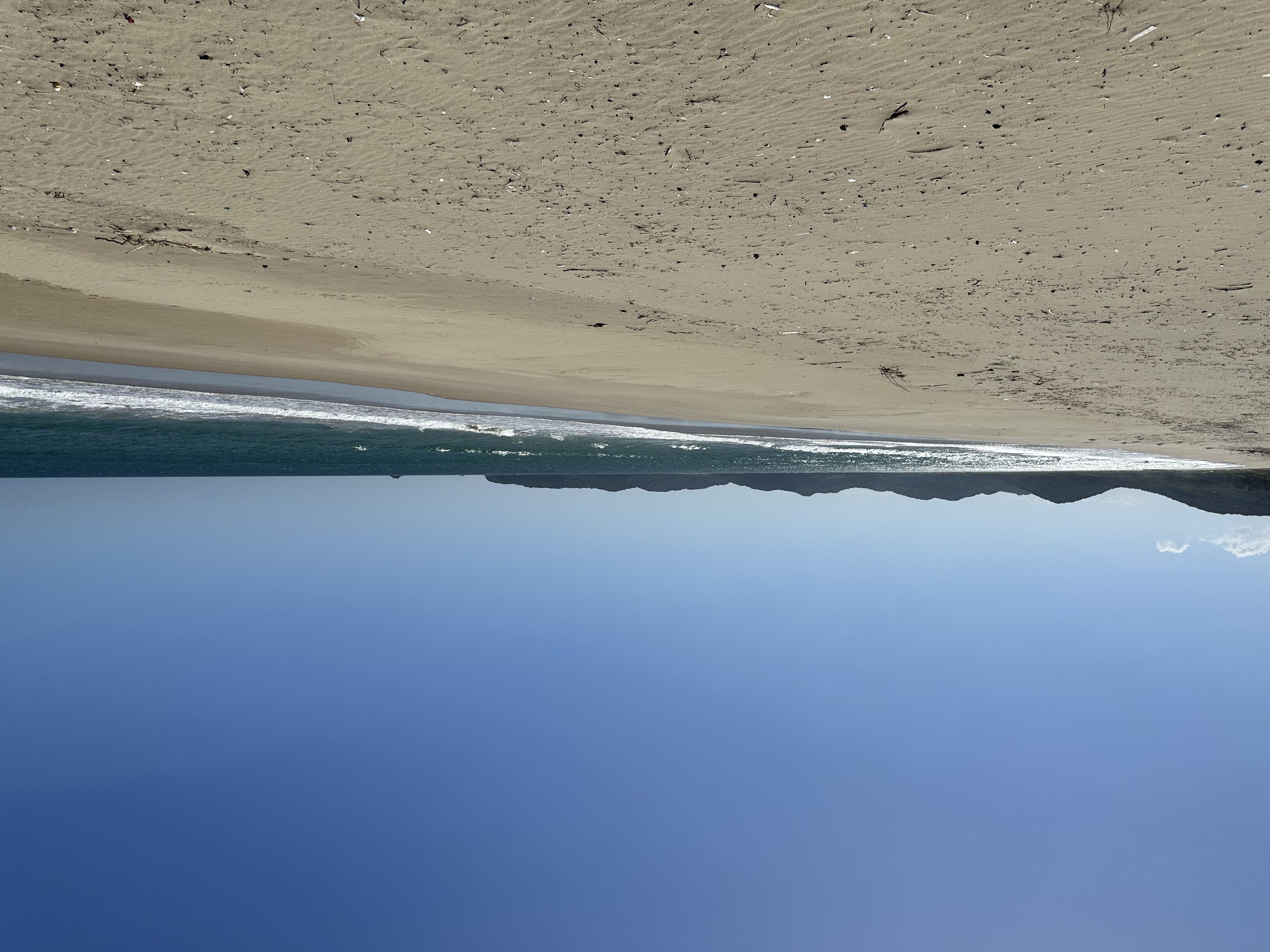 海亀との遭遇も期待できるまるでプライベートビーチのような砂浜が歩いてすぐの場所にあります。