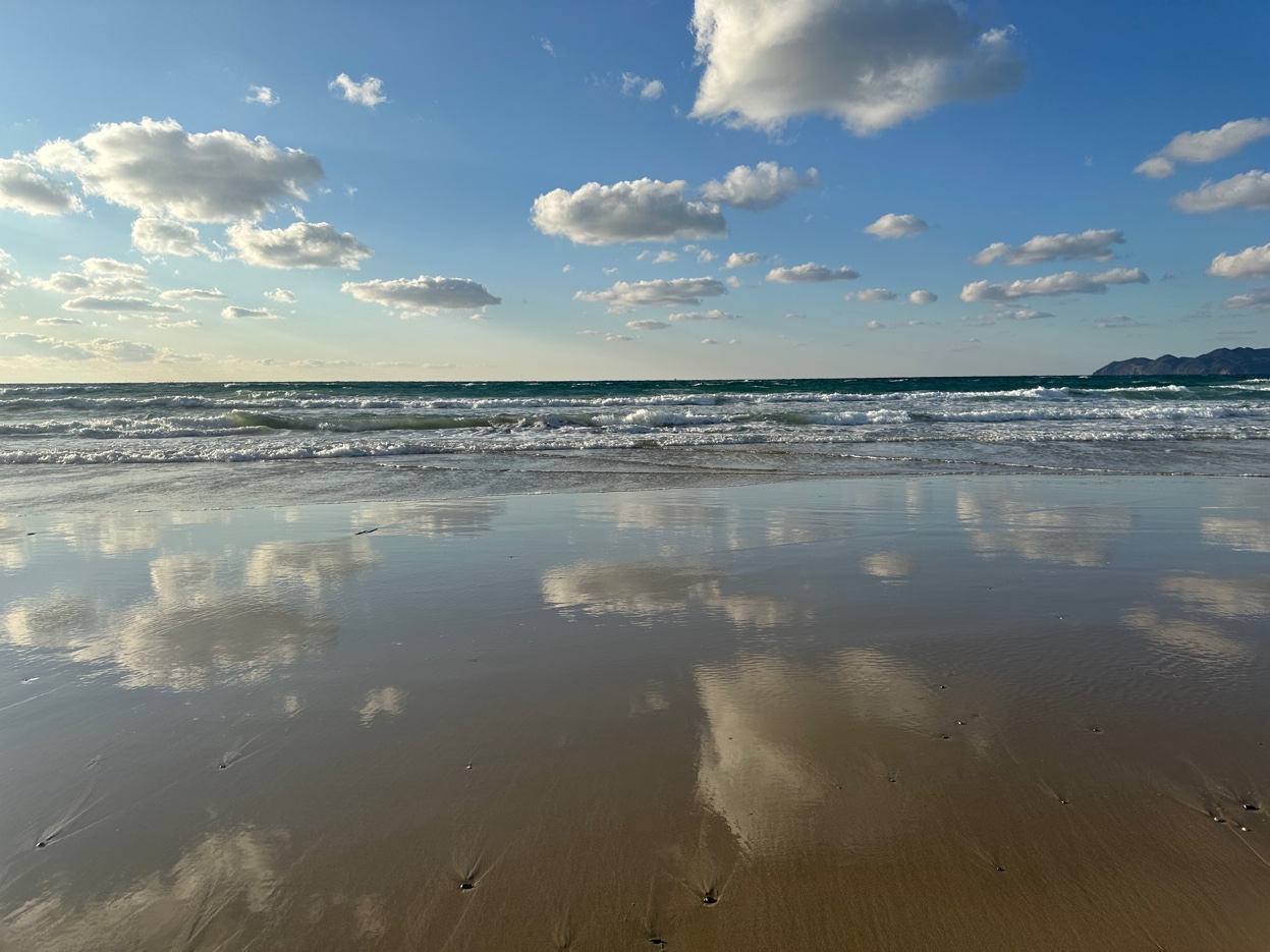 晴れの日には鏡写しになった空が見れます