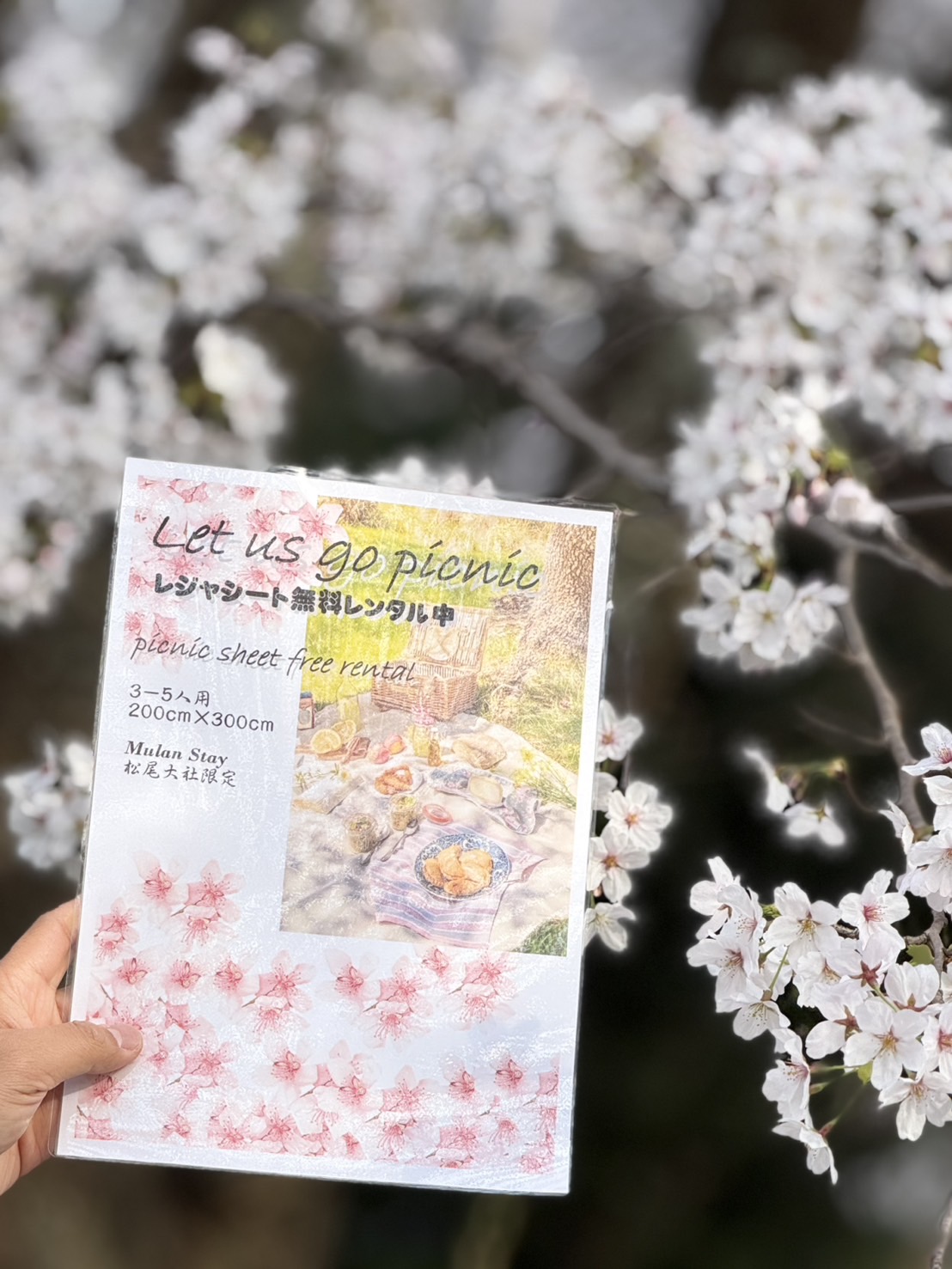 ピクニックセット無料レンタル