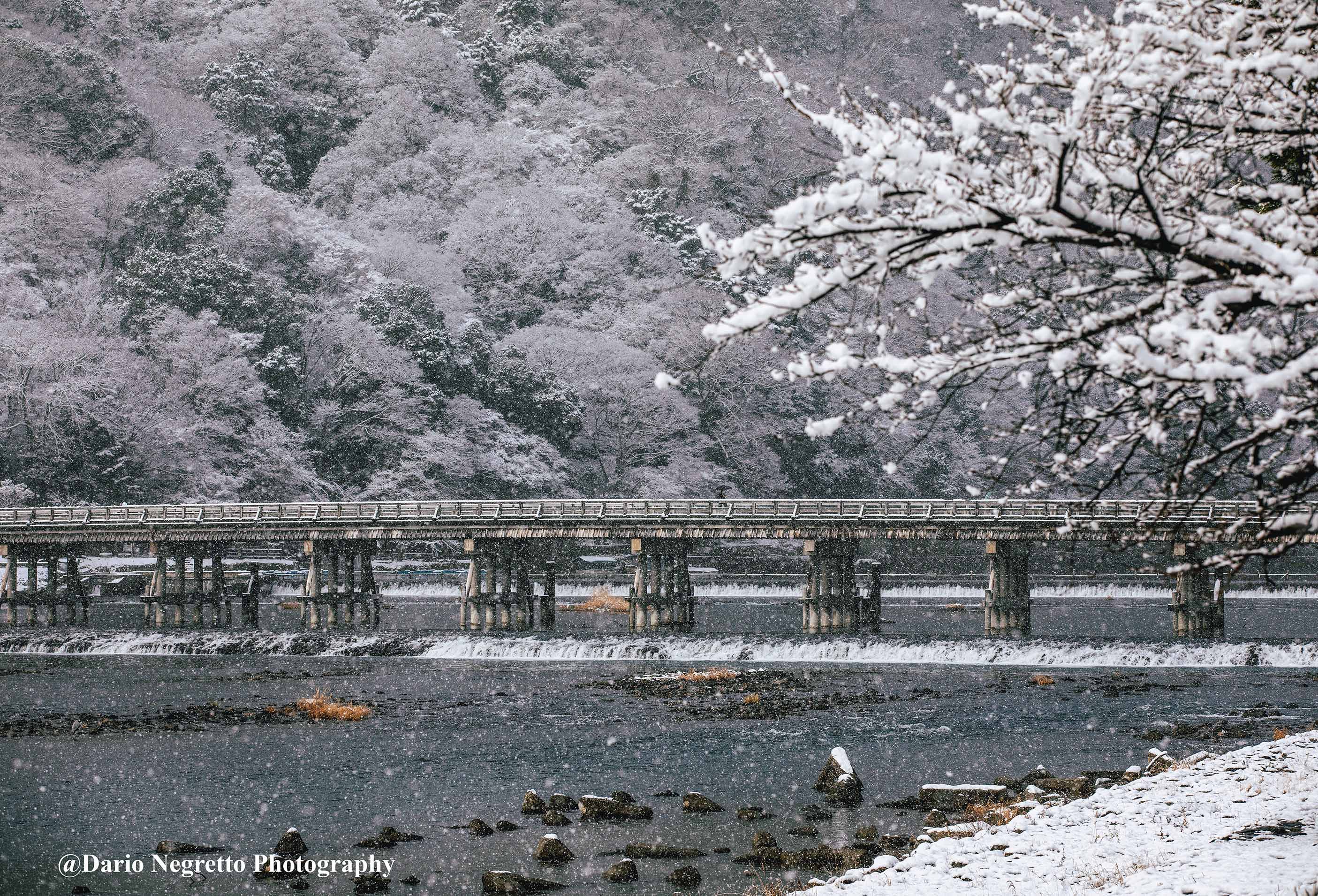 冬の渡月橋