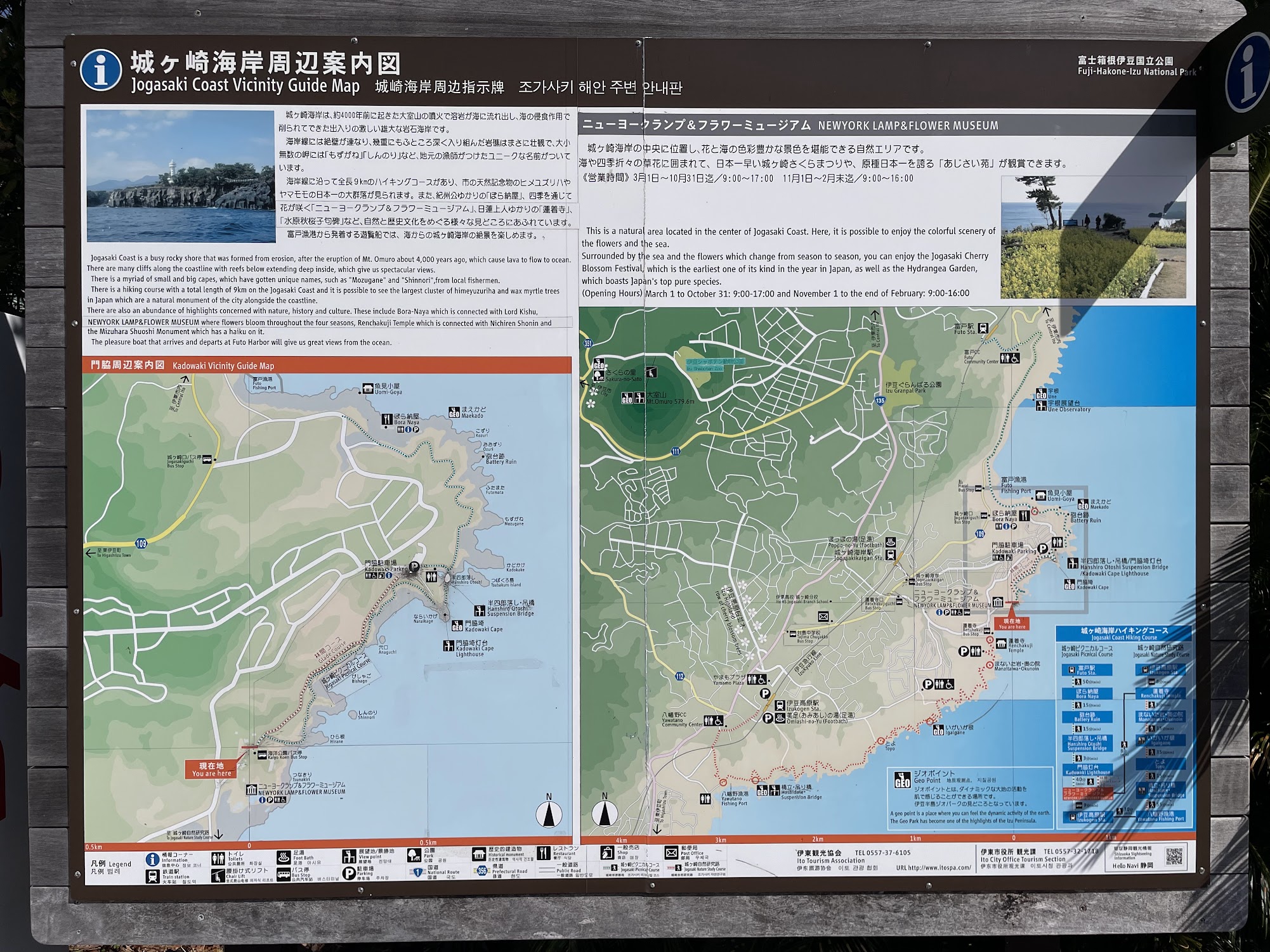 城ヶ崎海岸
