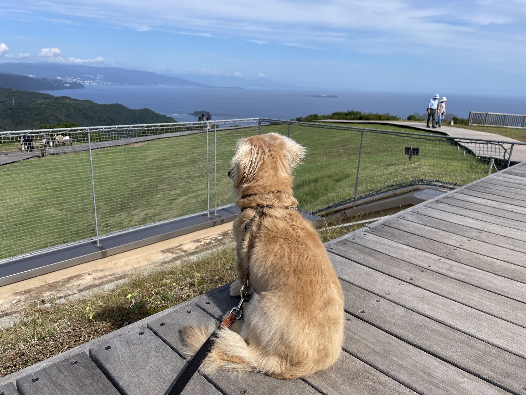 小室山
