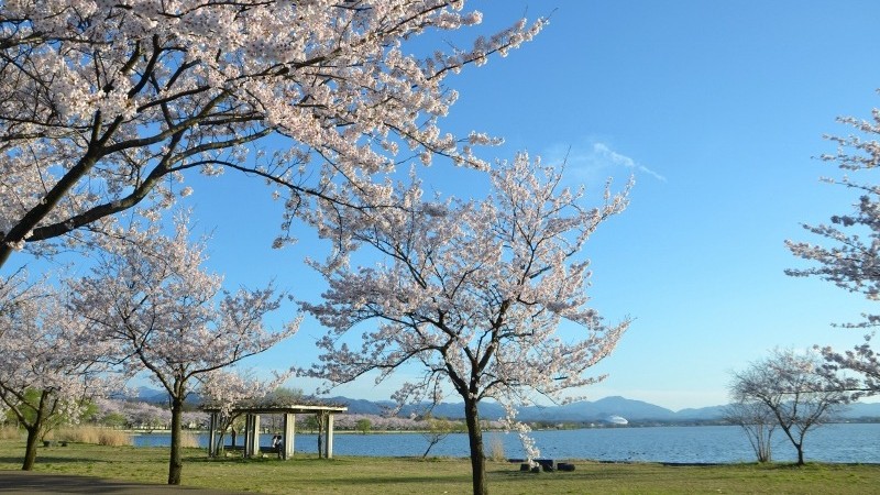 天然温泉　碧宝の湯　ドーミーイン小松（２０２６年７月３日オープン） - 写真 113