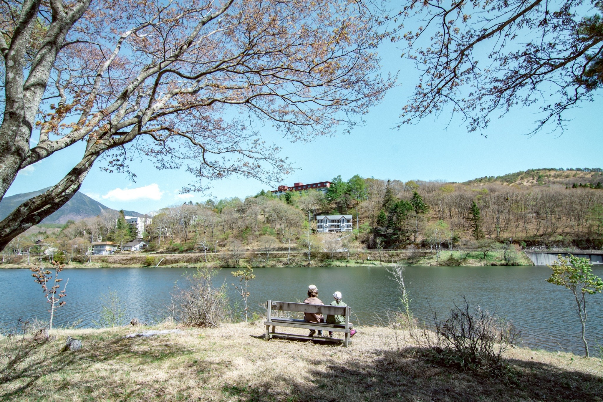 宿周辺風景