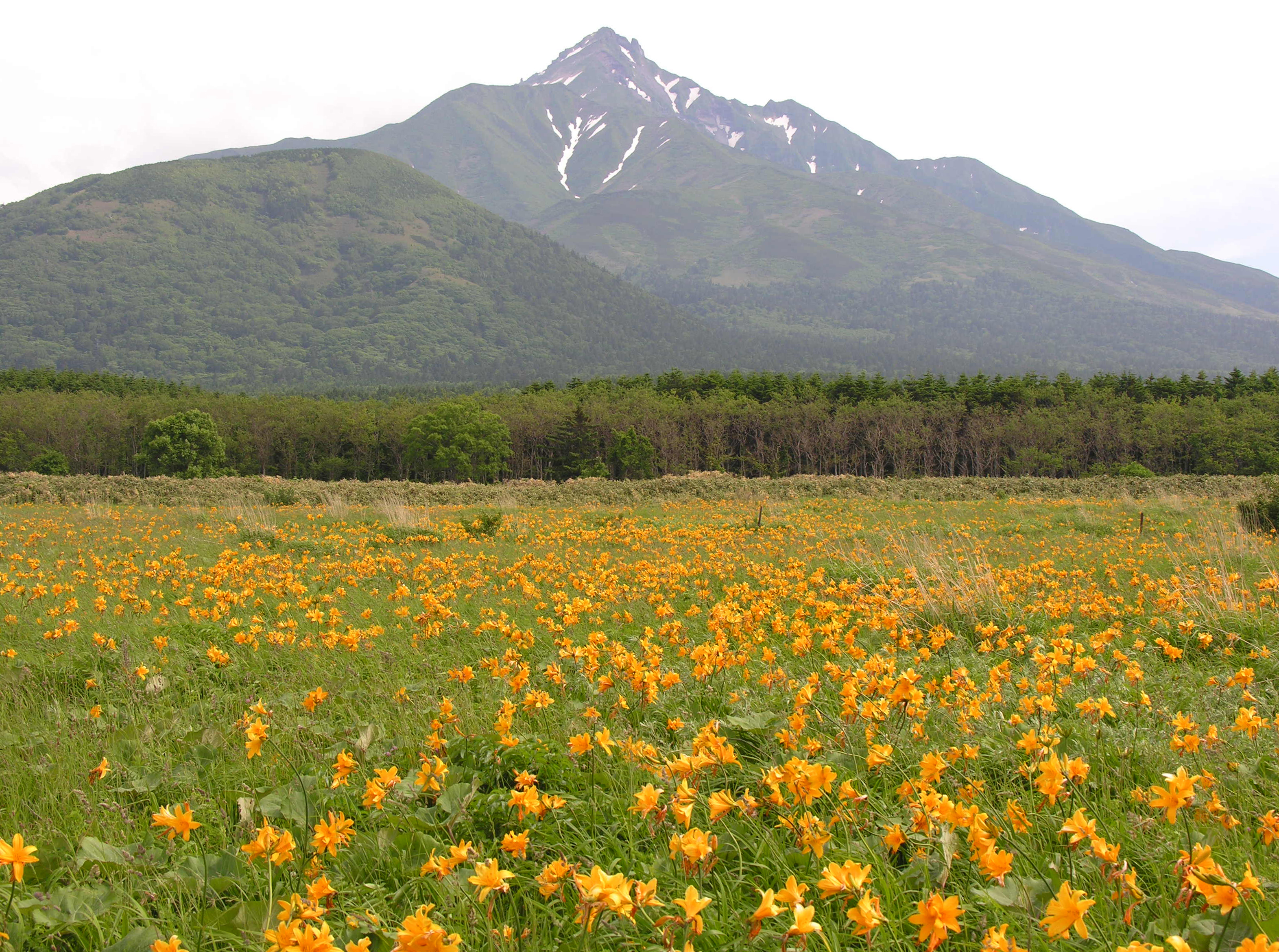 周辺観光地（富士野園地）