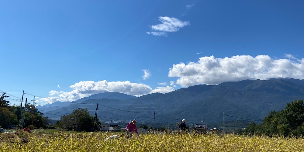 八ヶ岳の自然に囲まれた風景