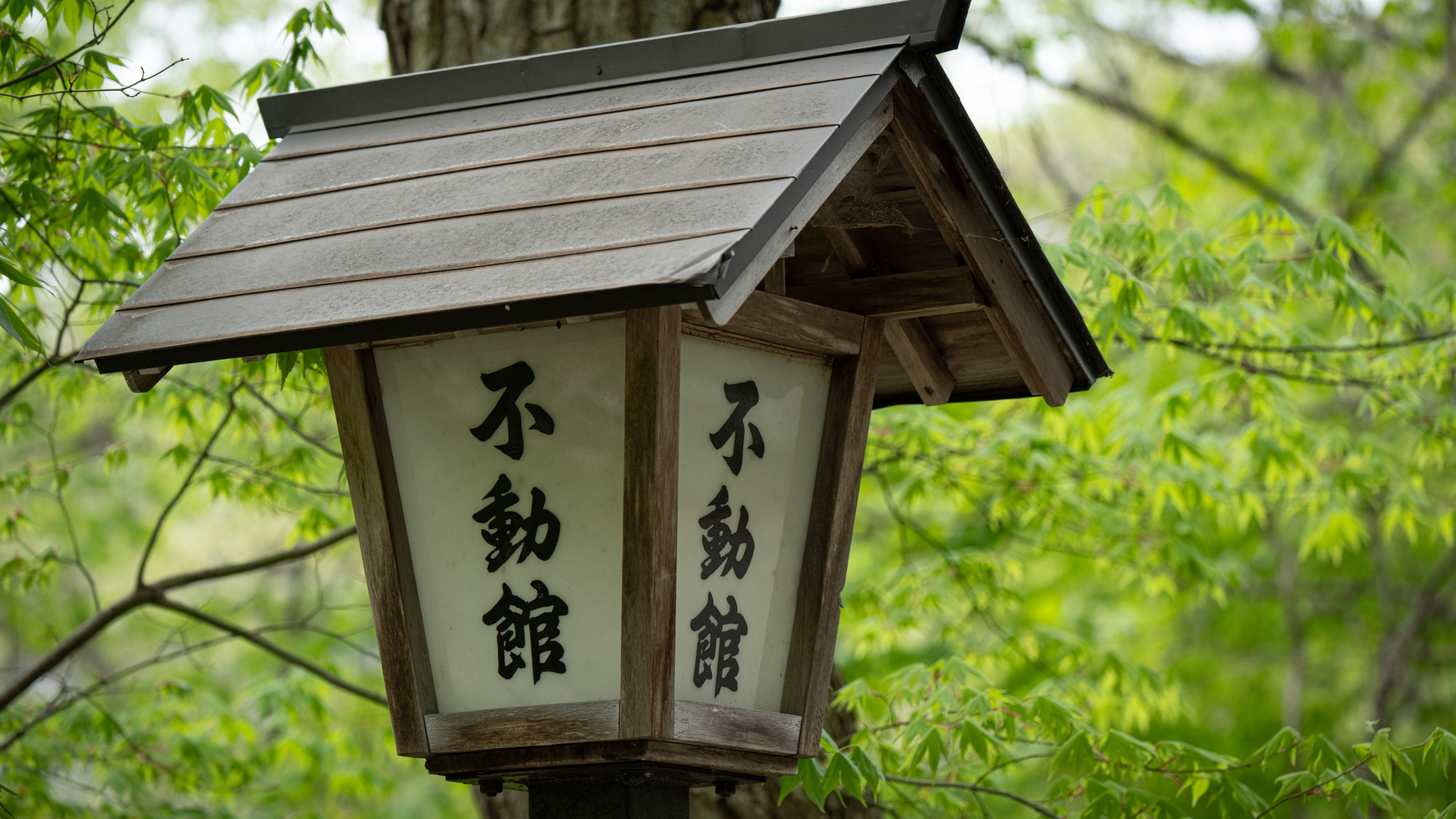 都会の喧騒を離れ自然と湯に癒される旅を。