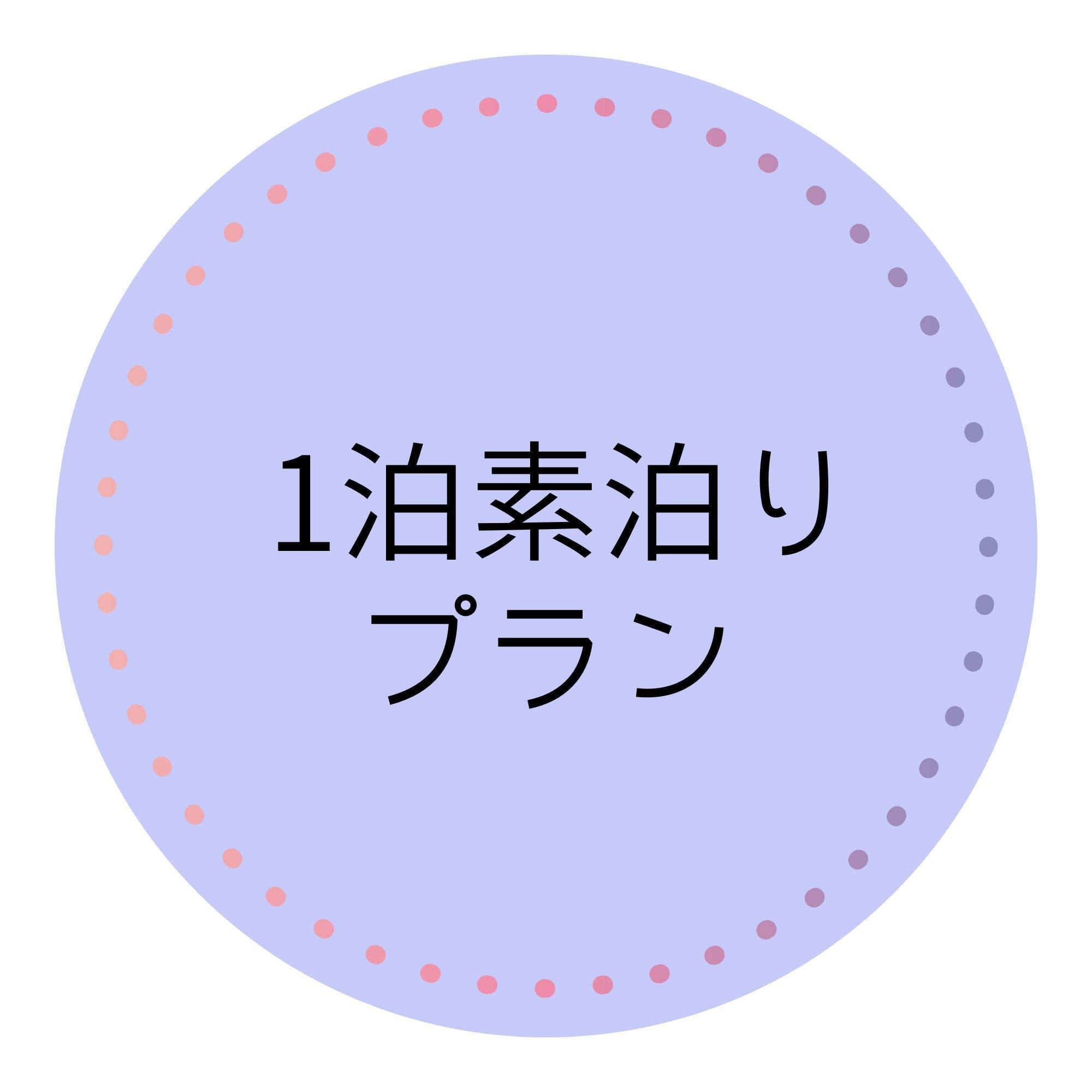 （禁煙）シングルルーム（素泊りプラン）（シングルベット1台、エキストラベット1台）