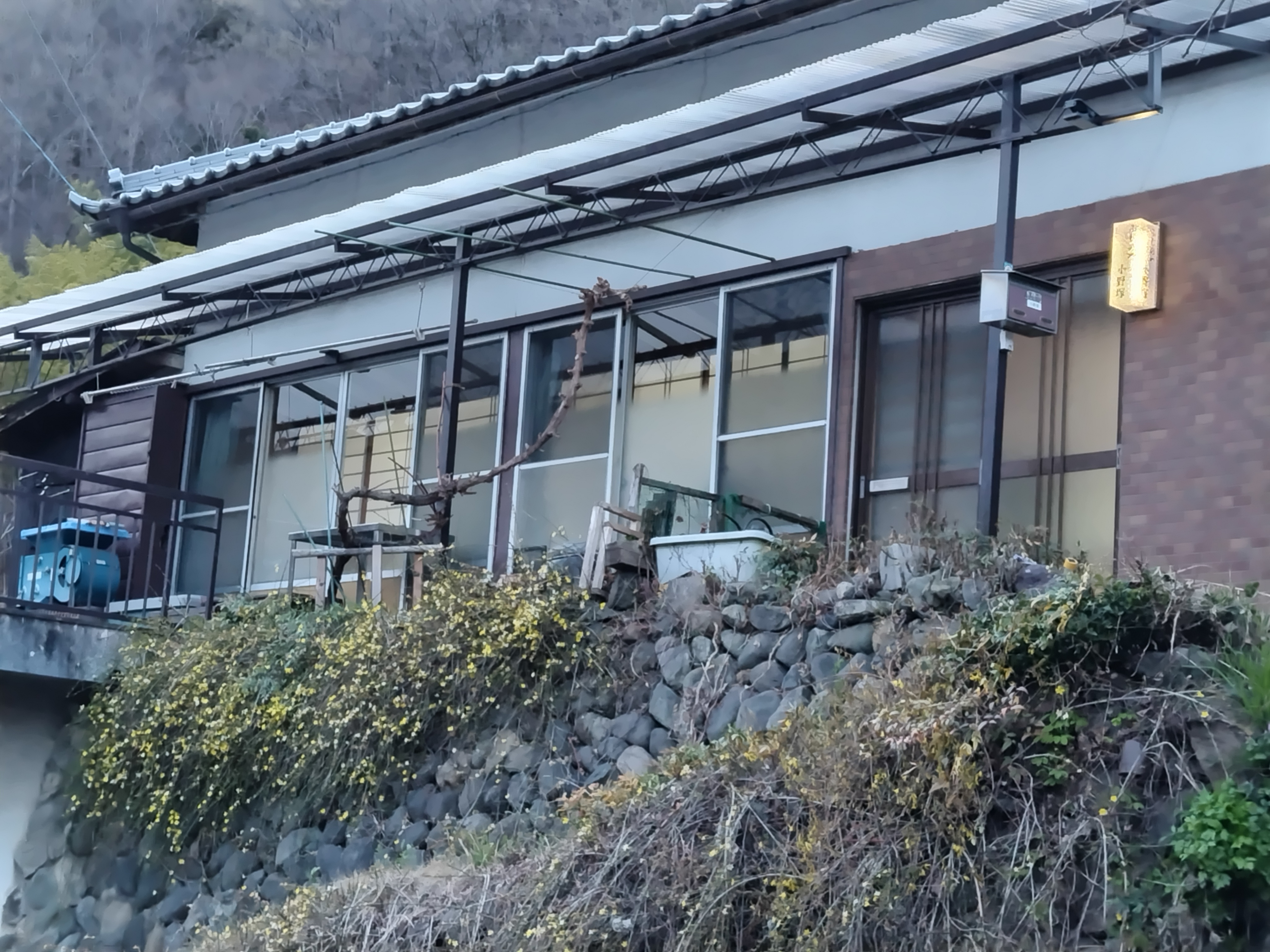道路から
