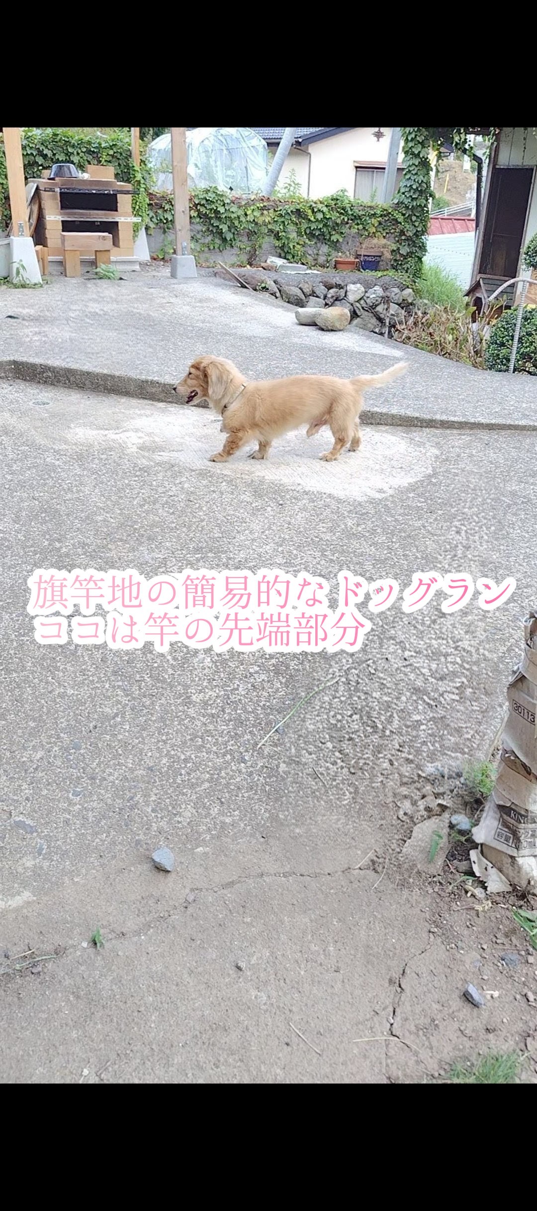 旗竿地の竿先