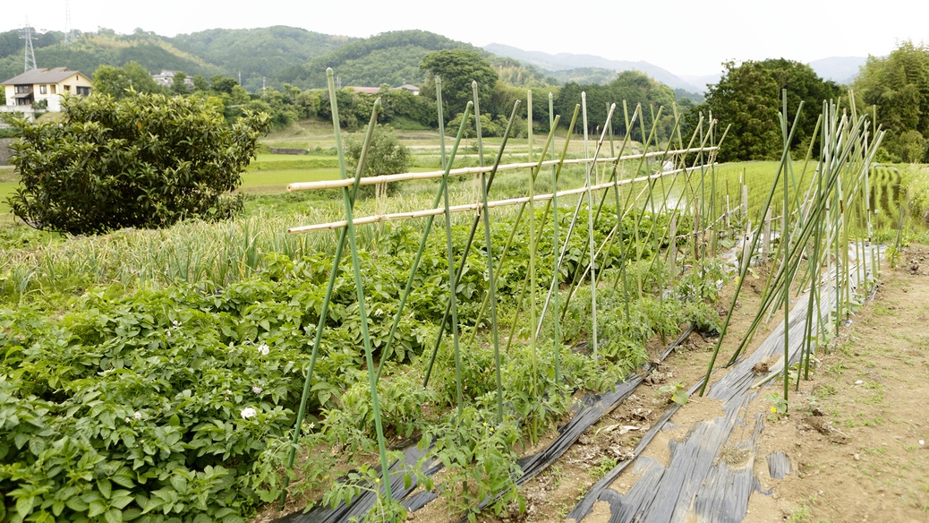 【1泊朝食付　温泉貸切可】お仕事帰りにも，片泊まりできままに湯治旅