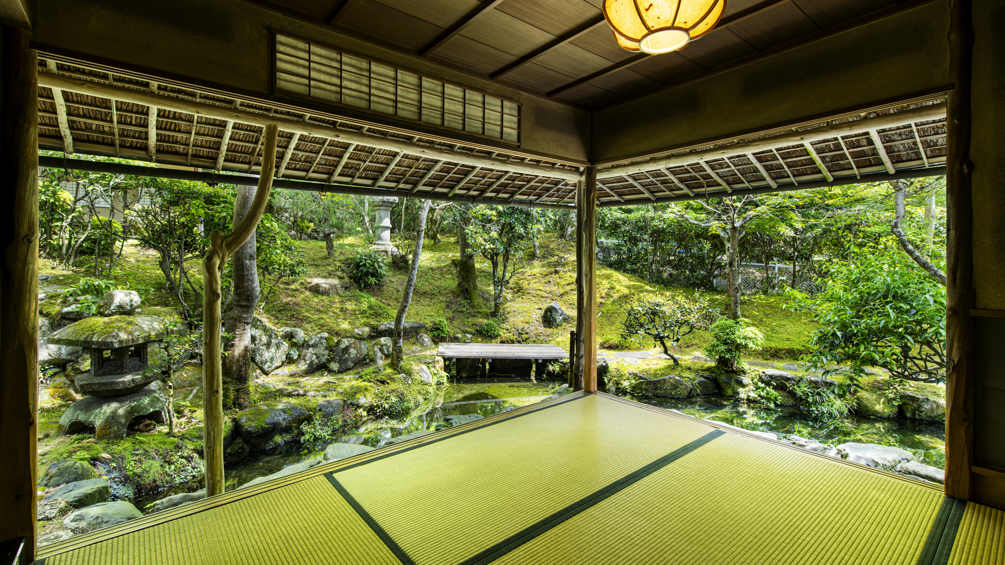 茶室からの景色