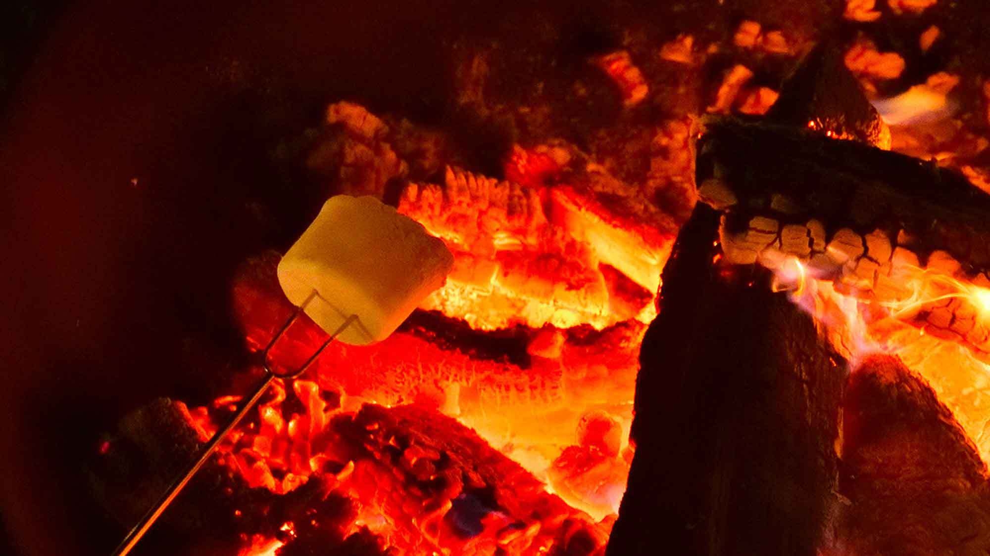 【秋冬限定／焚き火付】自家農園の焼き芋＆スモアで焚き火時間♪グランピング×BBQディナー（2食付）