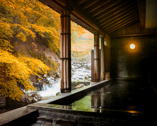 写真6