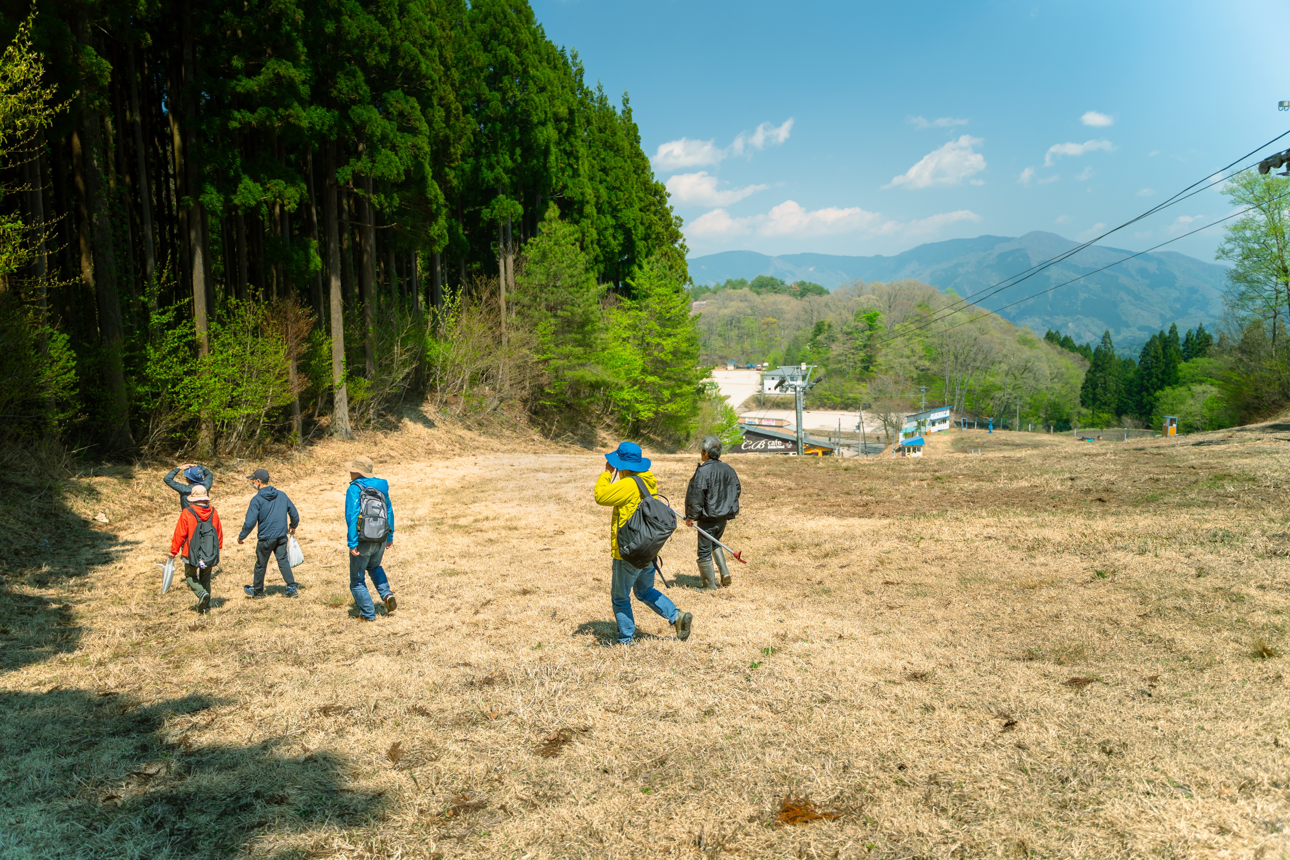 山菜取り体験