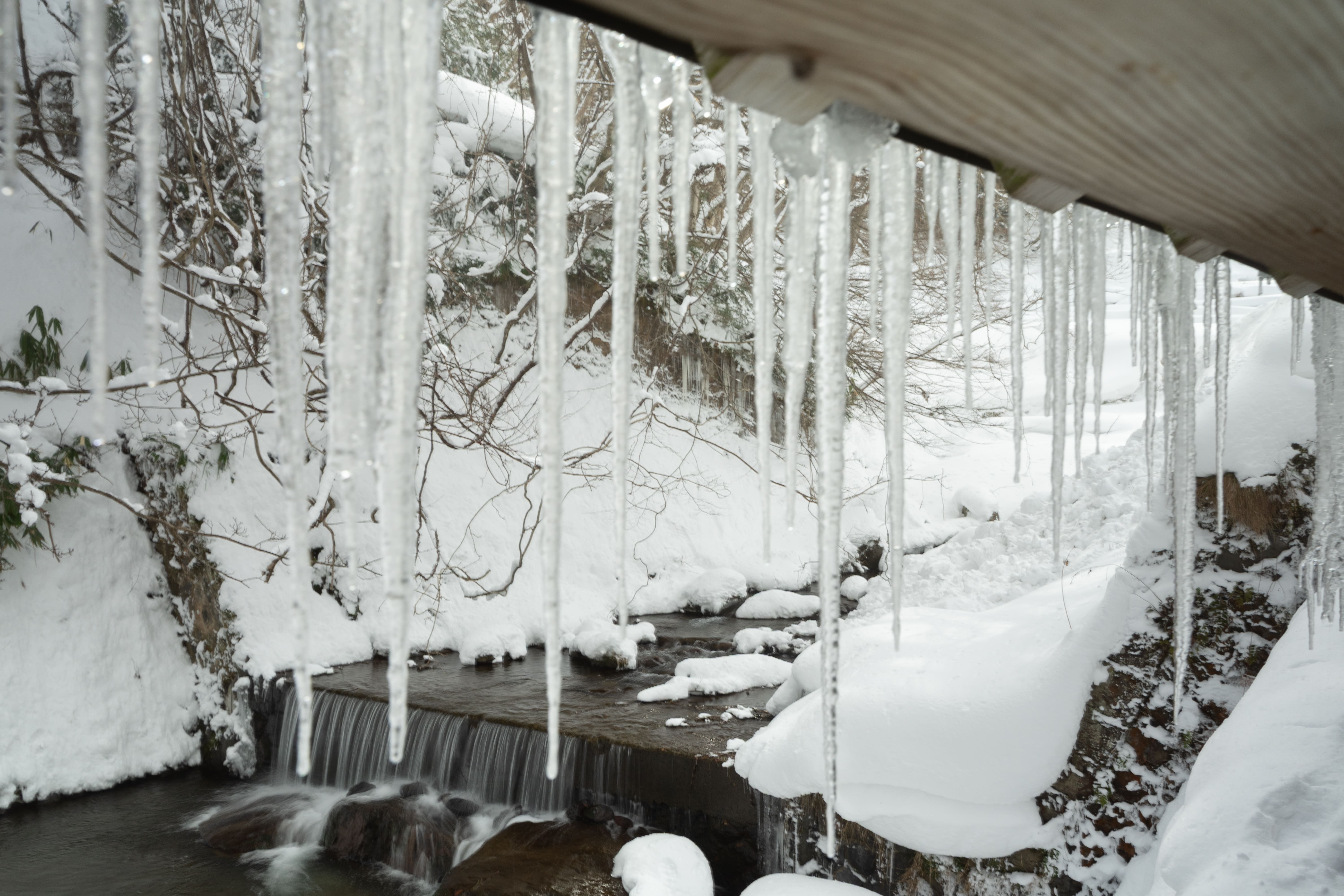 露天風呂から見える雪景色