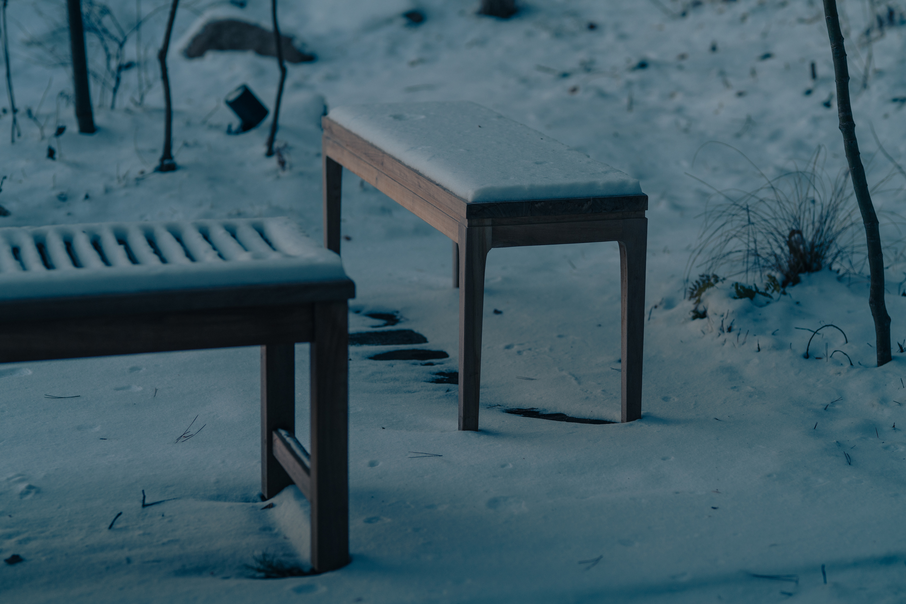 雪化粧の庭