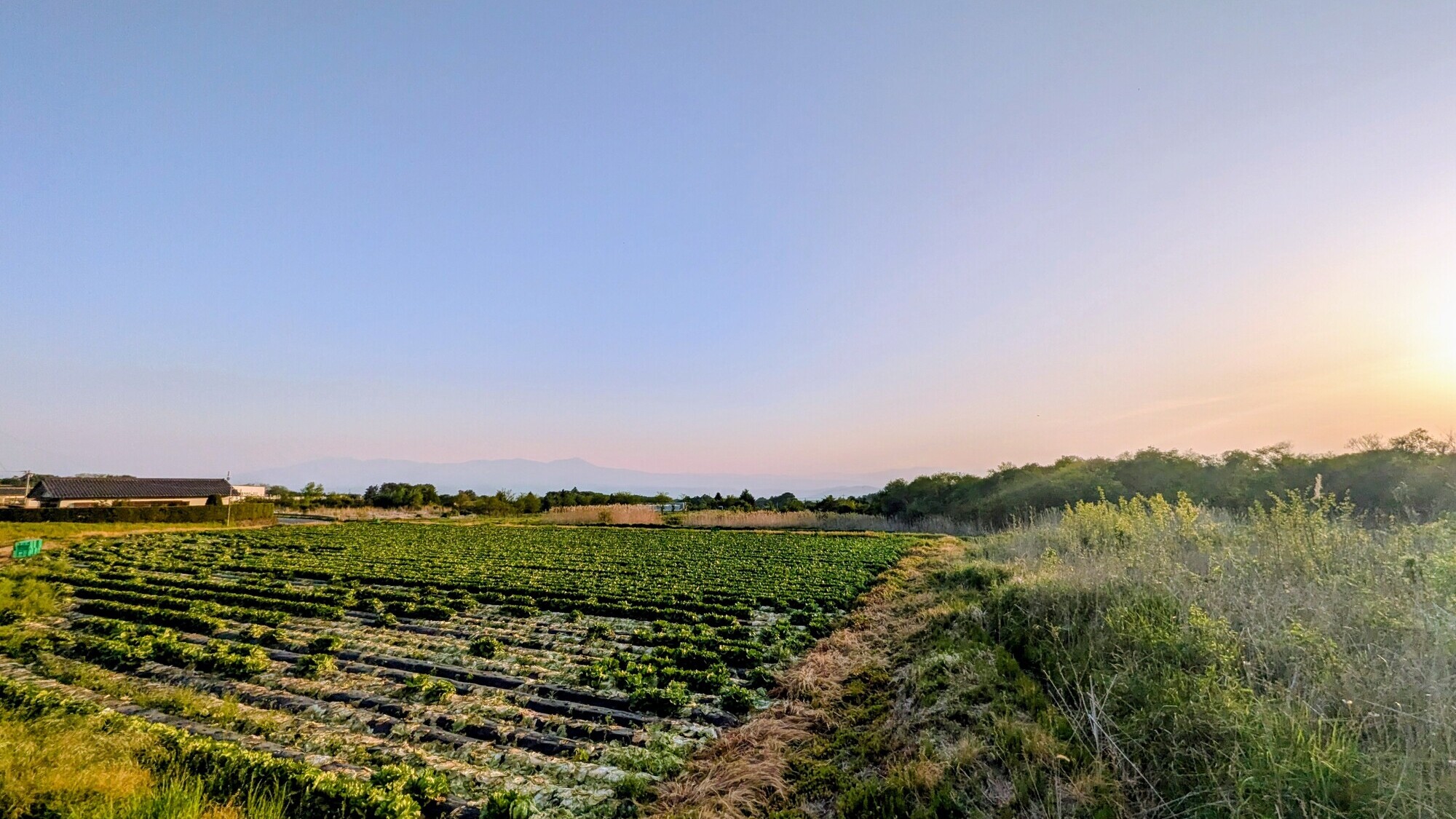 テラスからの絶景