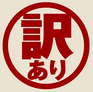 訳ありプラン◎素泊まり＞シングルルーム/個別エアコン完備/バス・トイレ別・大浴場あり