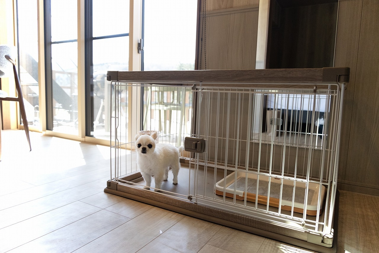 【愛犬と泊まれる】ヒノキ風呂付き客室で過ごす蔵王グランピング【朝・夕食付】