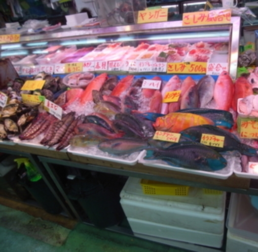 公設市場には南国特有のカラフルな鮮魚がたくさん！