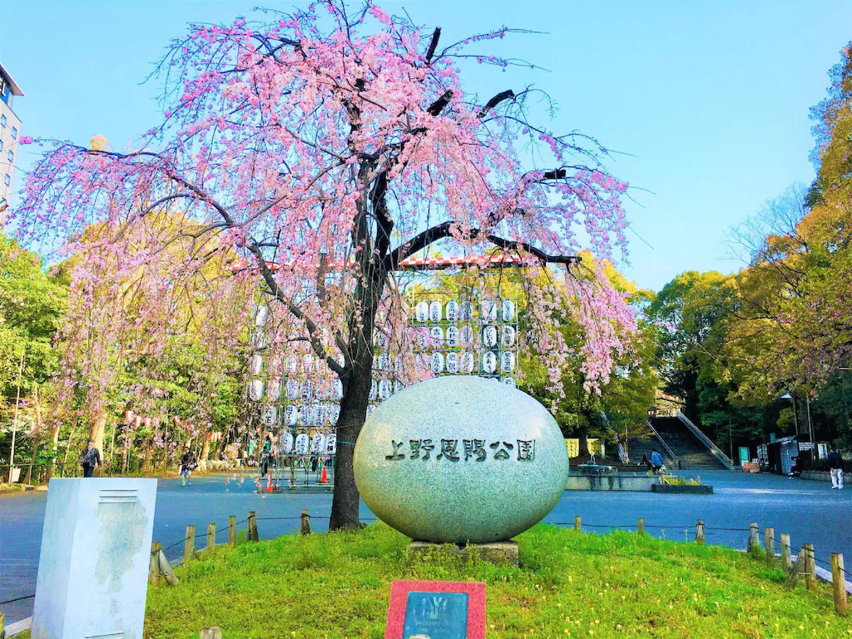 アパホテル〈京成上野駅前南〉（２０２６年８月ＯＰＥＮ） - 写真 79