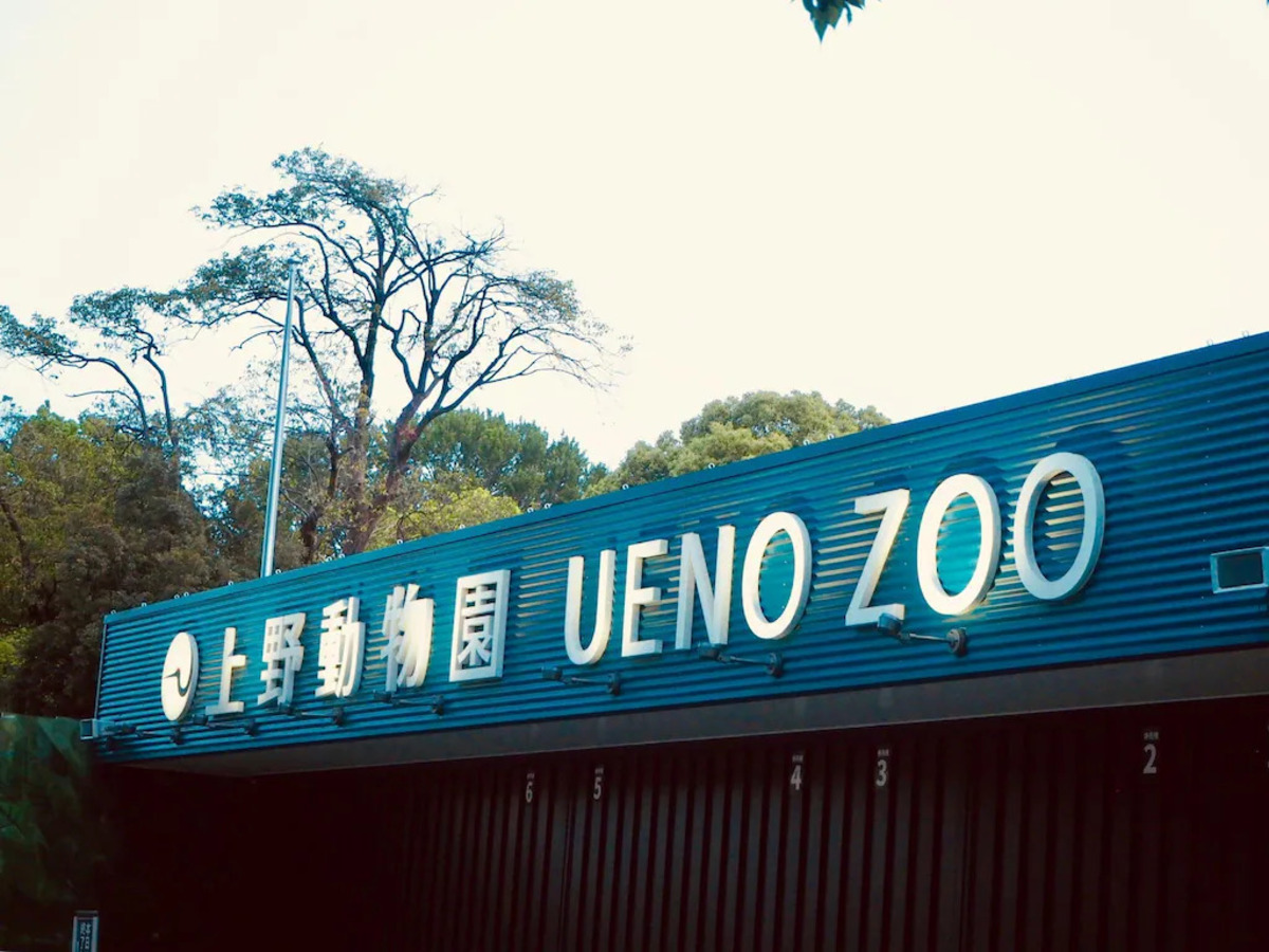 アパホテル〈京成上野駅前南〉（２０２６年８月ＯＰＥＮ） - 写真 81