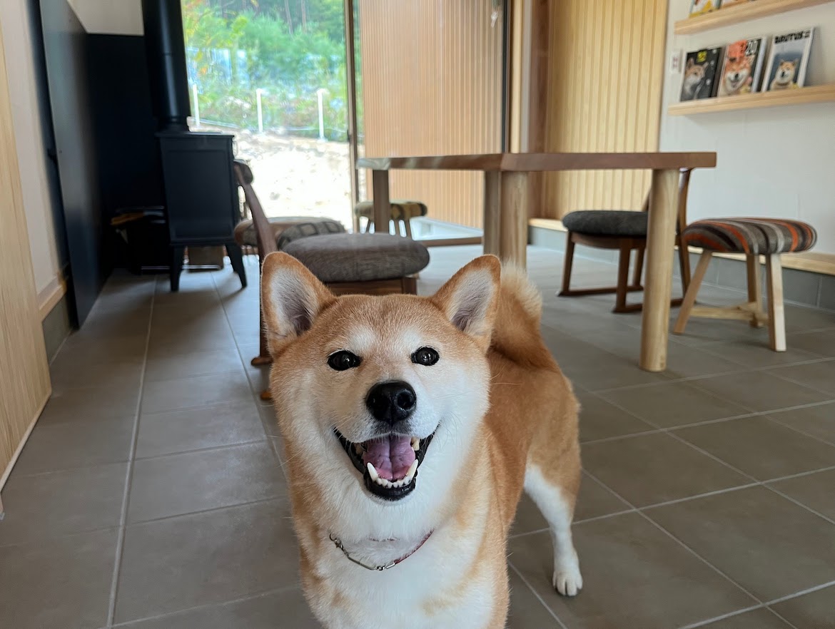 土間ダイニング