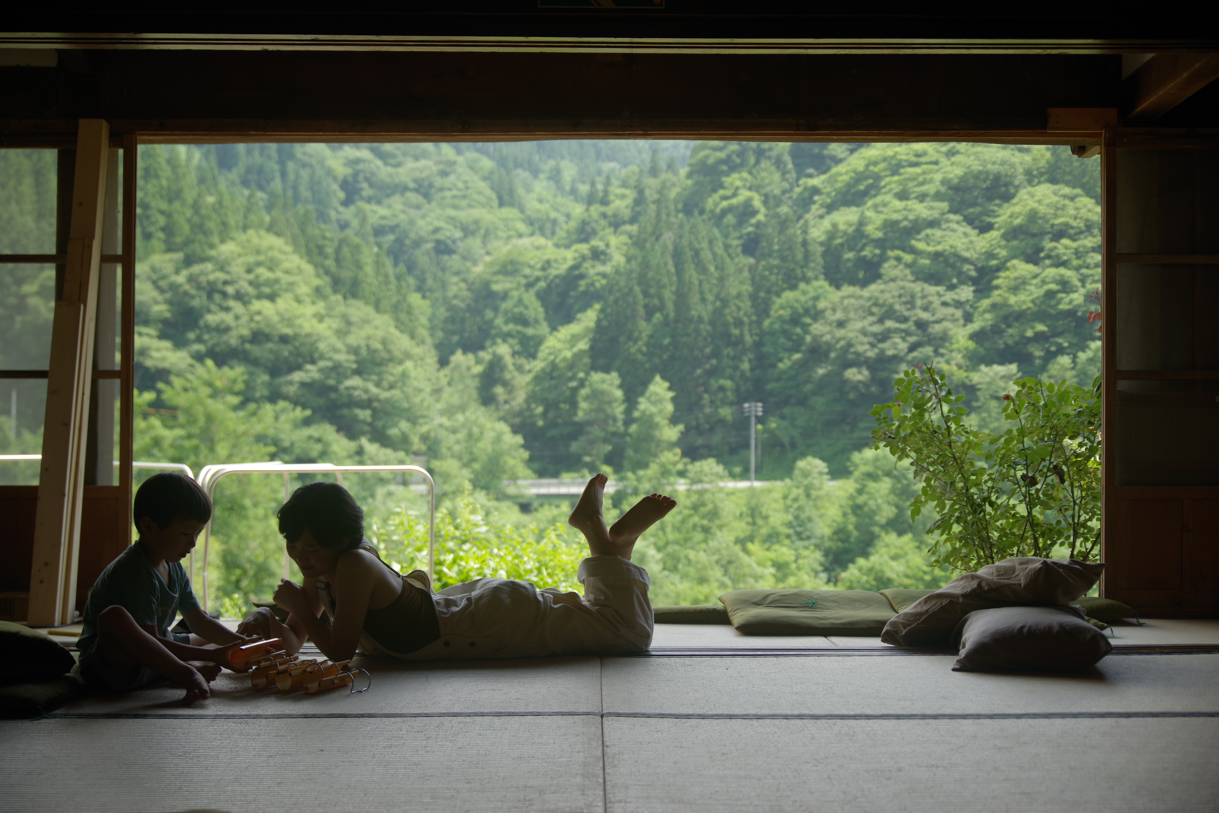 大きく開く借景のような縁側