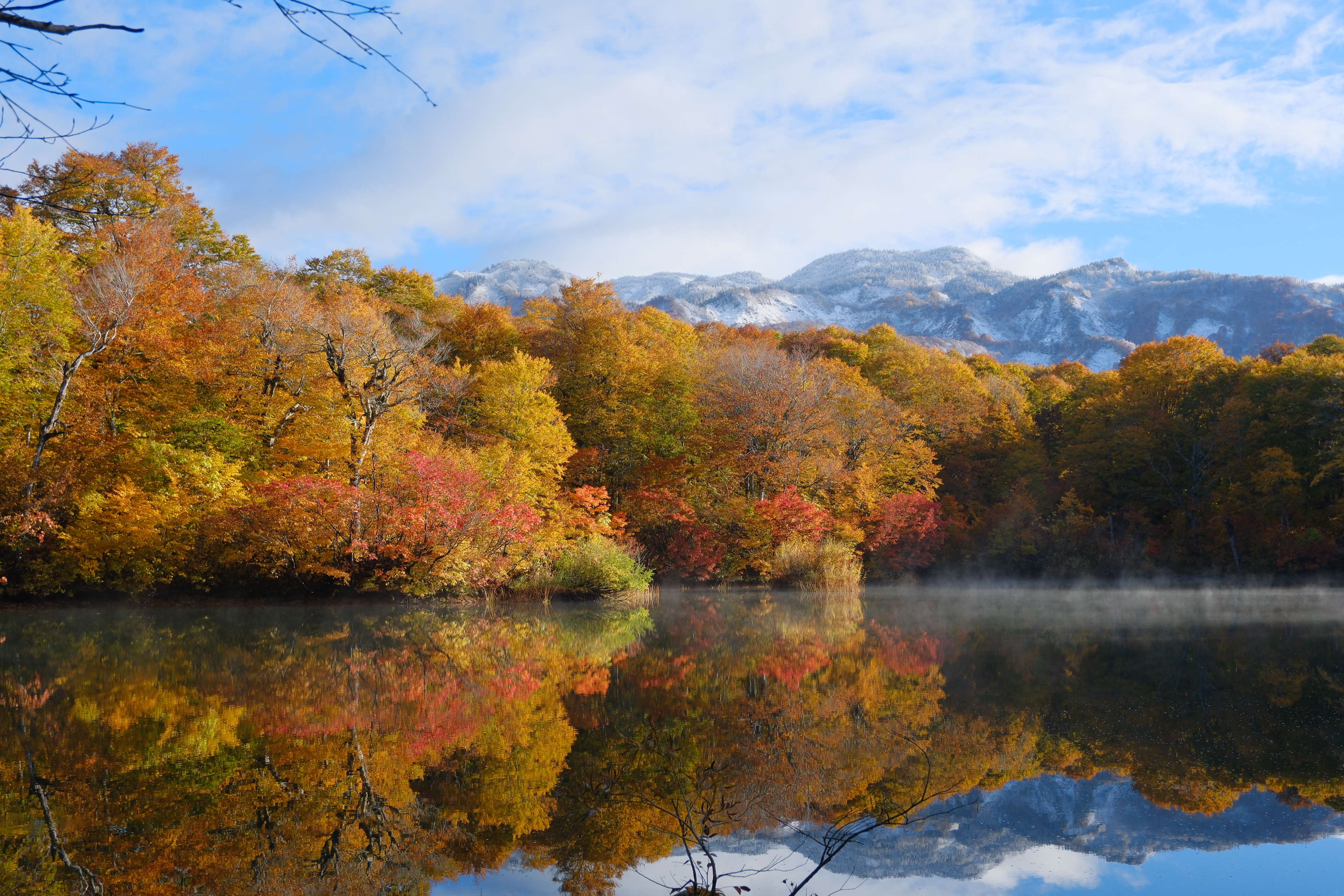過ごし方（秋、鎌池の紅葉散歩）