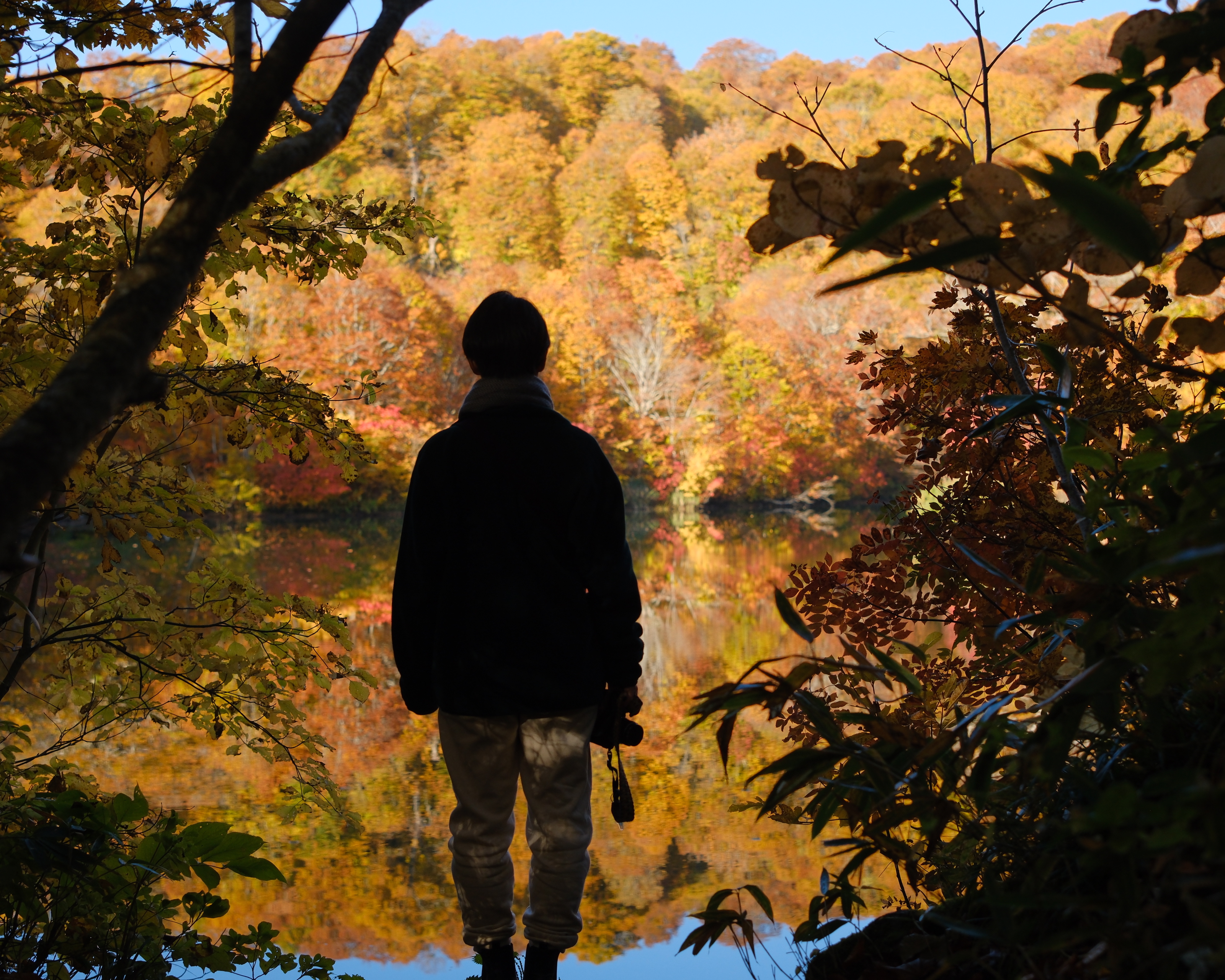 過ごし方（秋、紅葉散歩）