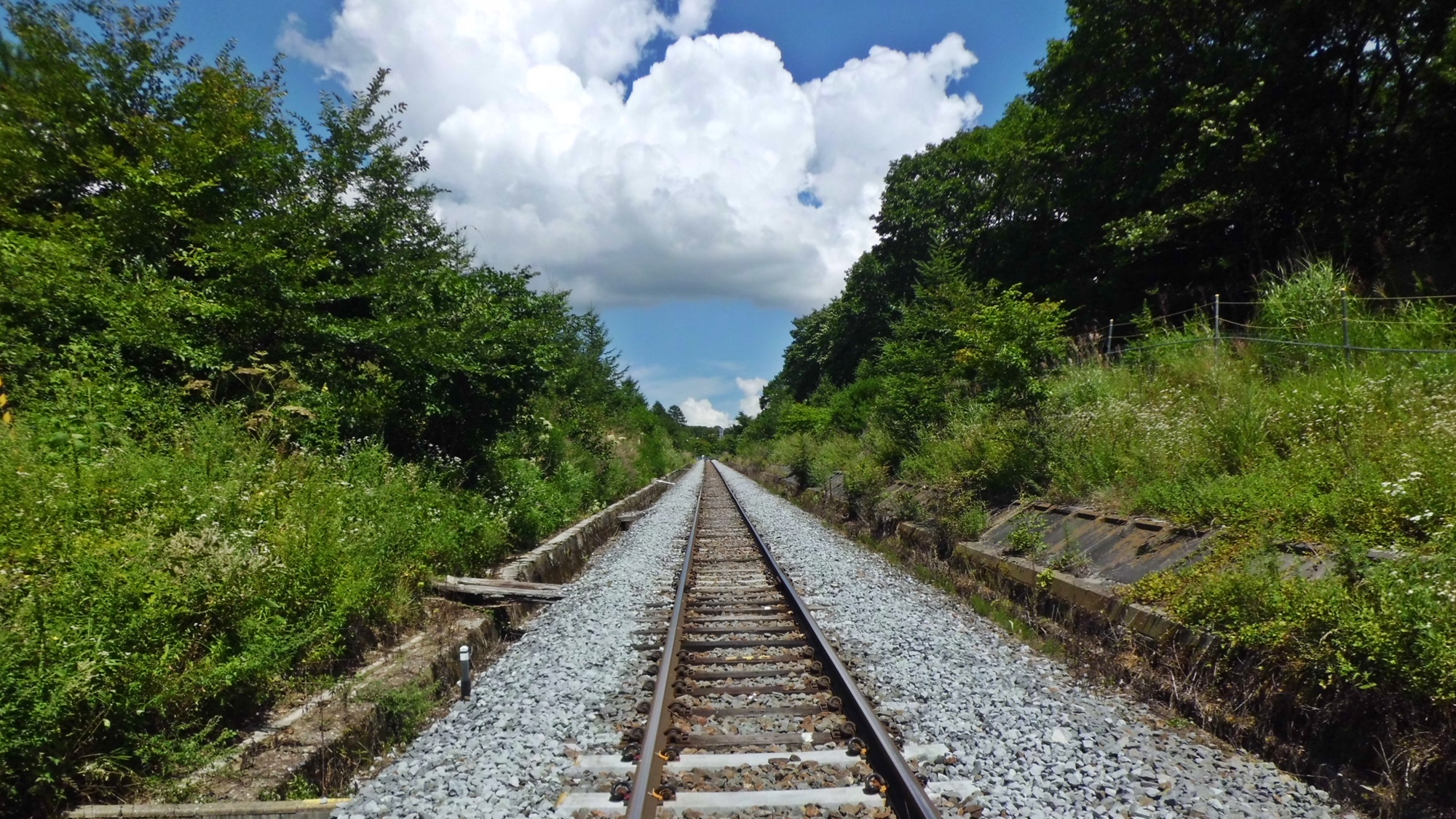 *まっすぐに伸びる小海線の線路は、変わらぬ風景へとあなたをお連れいたします。
