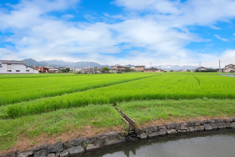晴れた日には星空が広がります