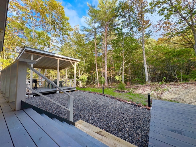 目の前に広がる北軽井沢の森