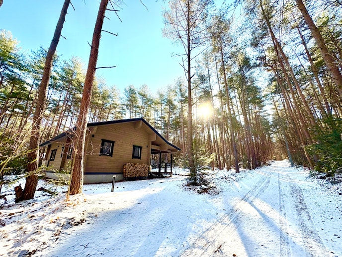 周囲は北欧の森のような雰囲気です