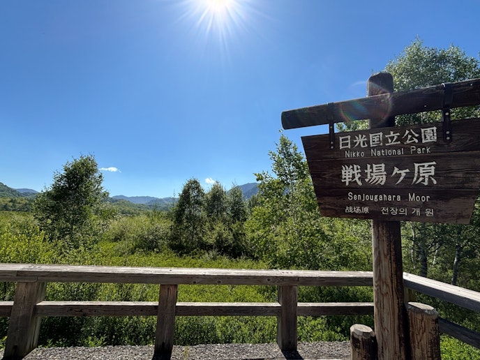 戦場ヶ原までドライブ