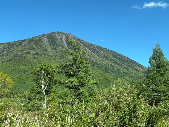 雄大な山