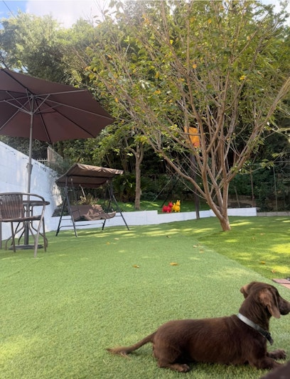 １２0平米広々お庭