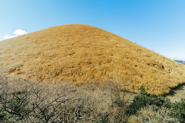 １Fウッドデッキからの眺め