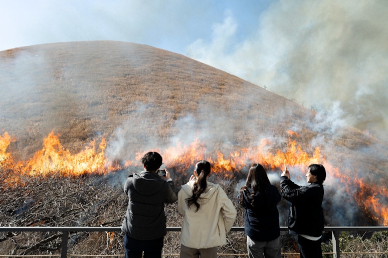 毎年１回（毎年２月第２日曜日開催）、大室山の山焼きが開催されます。 目の前で観ることができます。