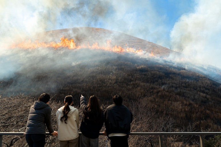 毎年１回（毎年２月第２日曜日開催）、大室山の山焼きが開催されます。 目の前で観ることができます。