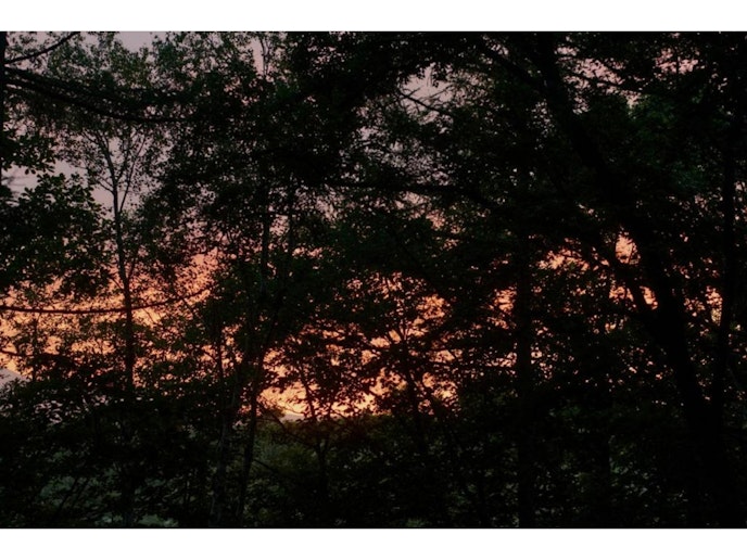 西陽が綺麗な一等地