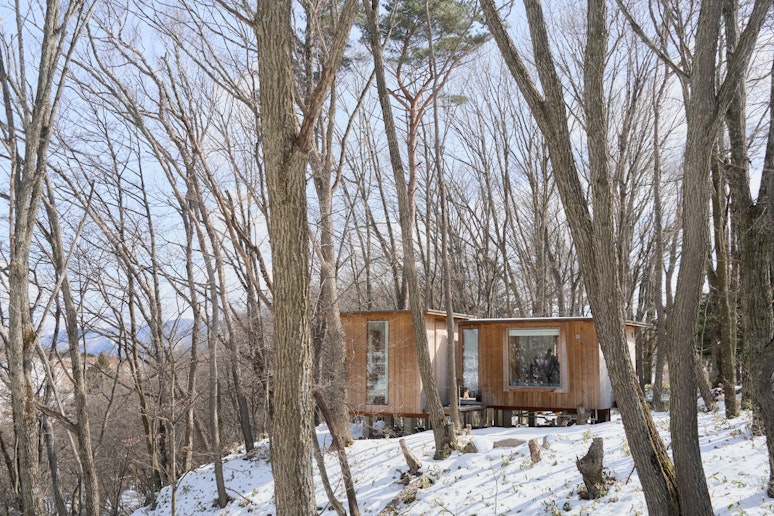 雪の白色とのコントラスト