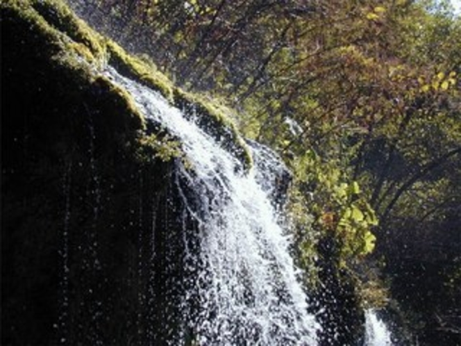 吐竜の滝