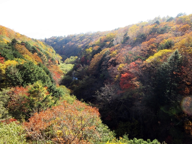 東沢渓谷東沢渓谷（東沢大橋）の紅葉　　　10月上旬～11月上