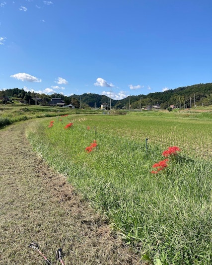 ・・ｨ・・ｲ・・ｮ・｢ｨ・・ｯ・ｼ・・・・・・・・・・・・ｨ・・ｰ・・・・ｼ・