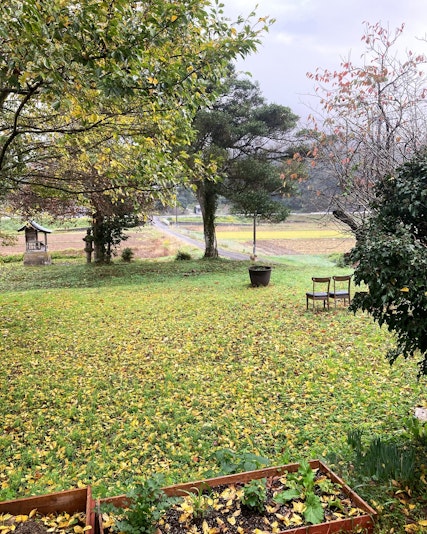 ・｣・・・ｮ・・ｷ・・ｰ・ｼ・・・ｨ・・ｲ・・・・ｦ・・ｸ｡・・・・・・・ｼ・