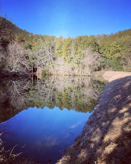 ・ｾ・・・・・・・・ｲｯ・ｰｴ・ｱ・ｼ・・ｾ・・ｭｩ・・ｰ・・・・ｼ・