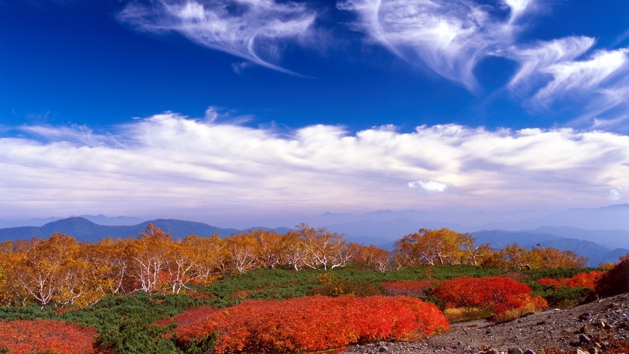 乗鞍高原　紅葉