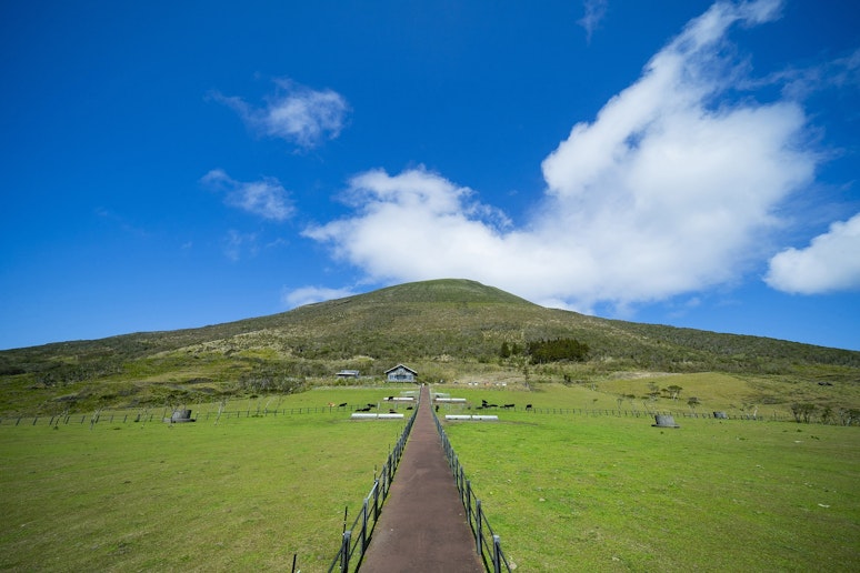 観光地（八丈島ふれあい牧場）
